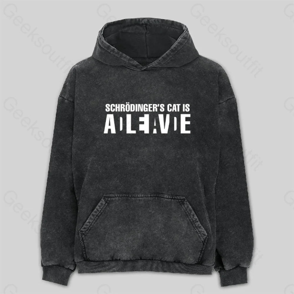 Schr?dinger's Cat ADLEIAVDE Washed Hoodie